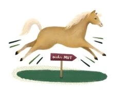 Was Wir Von Tieren Lernen Können -Schulschätze Markt 10018018 Was wir von Tieren lernen koennen 2