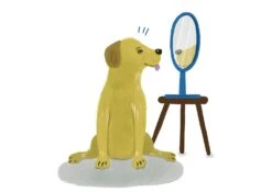 Was Wir Von Tieren Lernen Können -Schulschätze Markt 10018018 Was wir von Tieren lernen koennen 3