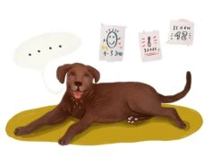 Was Wir Von Tieren Lernen Können -Schulschätze Markt 10018018 Was wir von Tieren lernen koennen 4