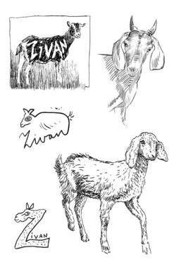 Ohne Dich 11 Ohne Dich -Schulschätze Markt 10018024 Ohne Dich 4