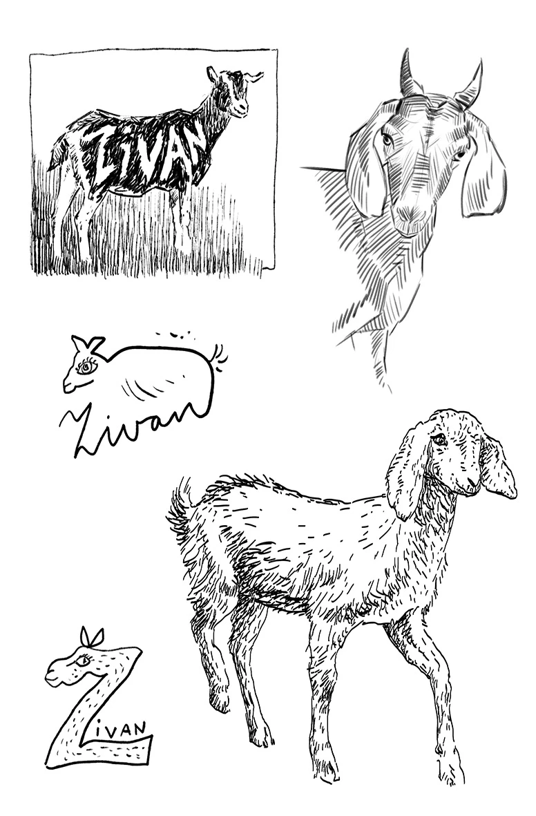 Ohne Dich 5 Ohne Dich – Bild 5