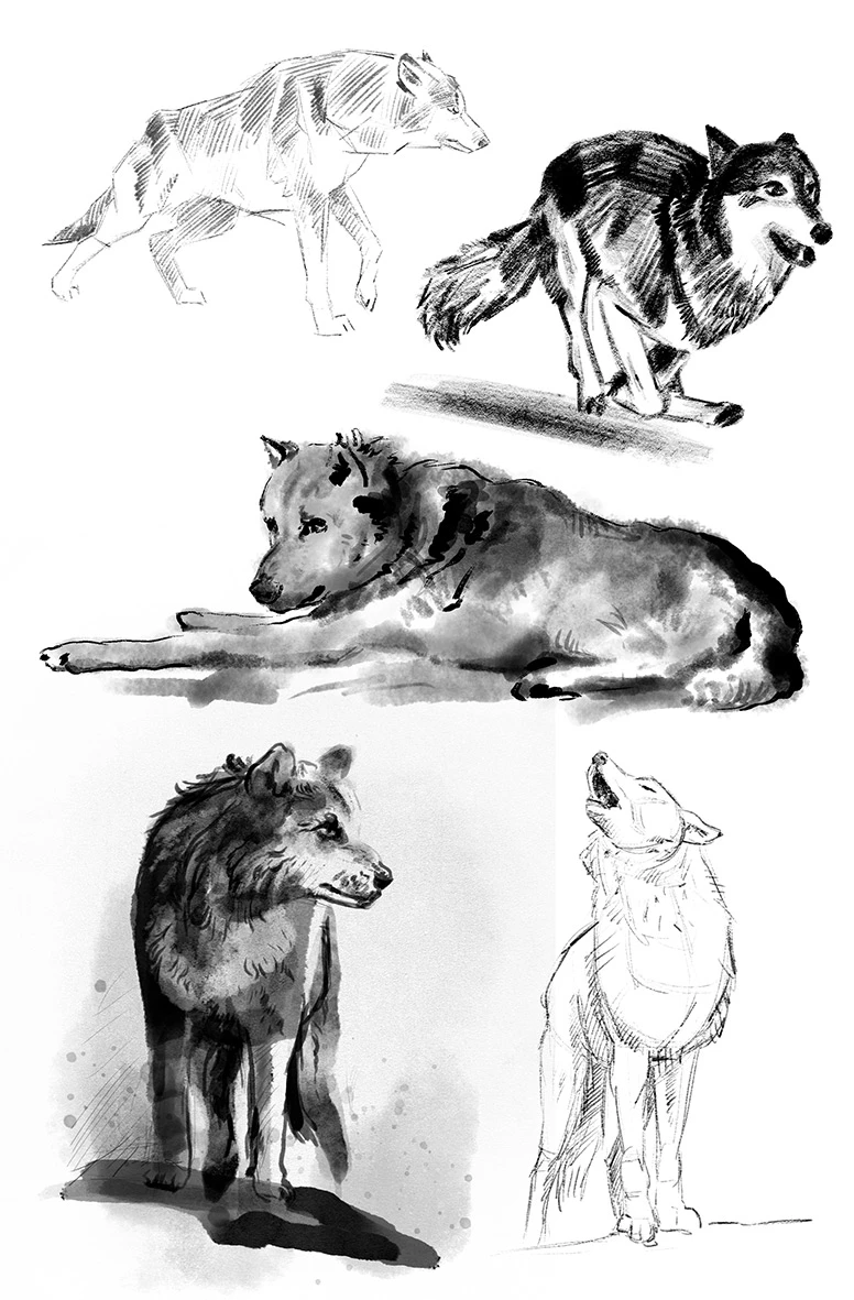 Ohne Dich 6 Ohne Dich – Bild 6