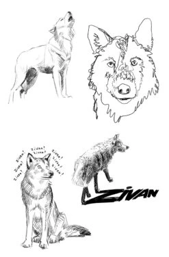 Ohne Dich 13 Ohne Dich -Schulschätze Markt 10018024 Ohne Dich 6