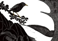 Das Lied Des Stars -Schulschätze Markt 10019826 Das Lied des Stars