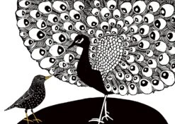 Das Lied Des Stars -Schulschätze Markt 10019826 Das Lied des Stars 1