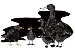 Das Lied Des Stars -Schulschätze Markt 10019826 Das Lied des Stars 2