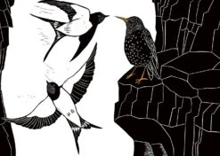 Das Lied Des Stars -Schulschätze Markt 10019826 Das Lied des Stars 3