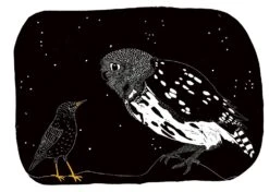 Das Lied Des Stars -Schulschätze Markt 10019826 Das Lied des Stars 4