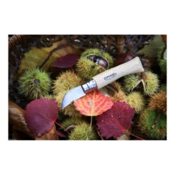 Opinel Kastanienmesser -Schulschätze Markt Kastanienmesser 4