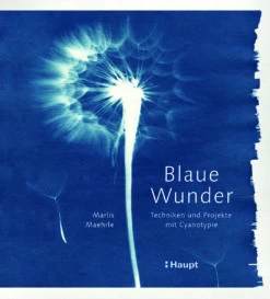 Blaue Wunder