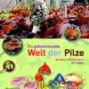 Die Geheimnisvolle Welt Der Pilze