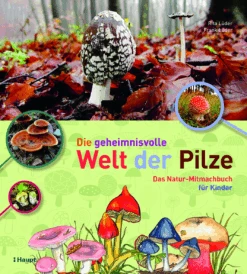 Die Geheimnisvolle Welt Der Pilze