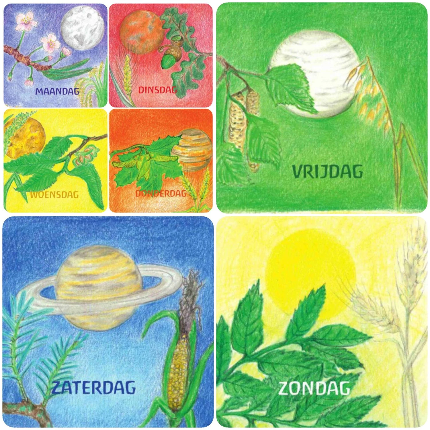 Kartenset Tage 1 Kartenset Tage