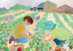 Postkartenset Jahreslauf, 12-teilig -Schulschätze Markt Waldorfshop Postkartenset Jahreslauf 12teilig Ella Lapointe Jahreslauf Postkartenset 2