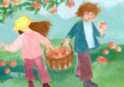 Postkartenset Jahreslauf, 12-teilig -Schulschätze Markt Waldorfshop Postkartenset Jahreslauf 12teilig Ella Lapointe Jahreslauf Postkartenset 5