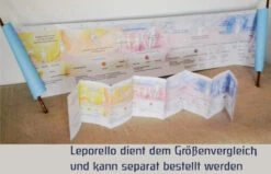 Richtkräfte Der Entwicklung -Schulschätze Markt Waldorfshop Richtkraefte der Entwicklung 4