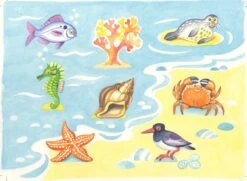 Wir Fahren Auf Die Insel -Schulschätze Markt Waldorfshop Wir fahren auf die Insel Wir fahren auf die Insel Reisen Buch 3